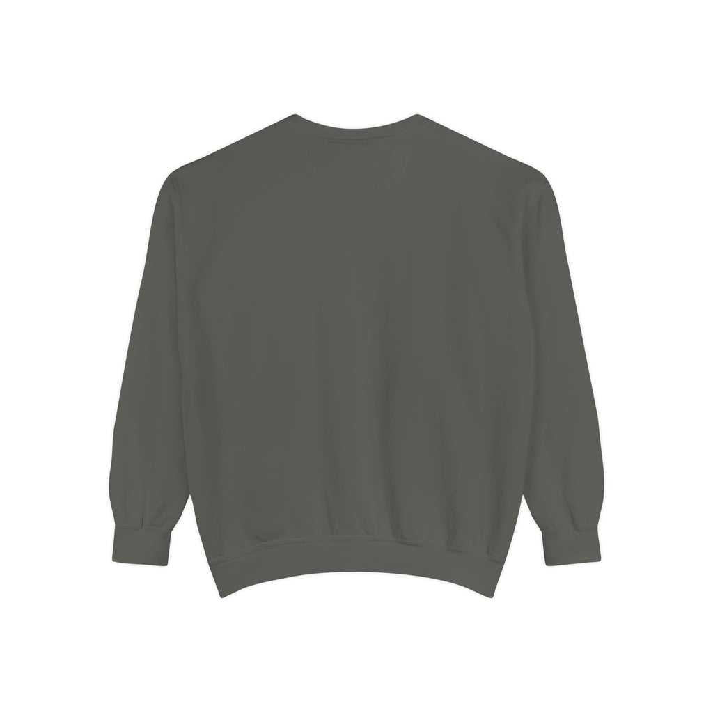 Dear Santa Define Nice Christmas Sweatshirt