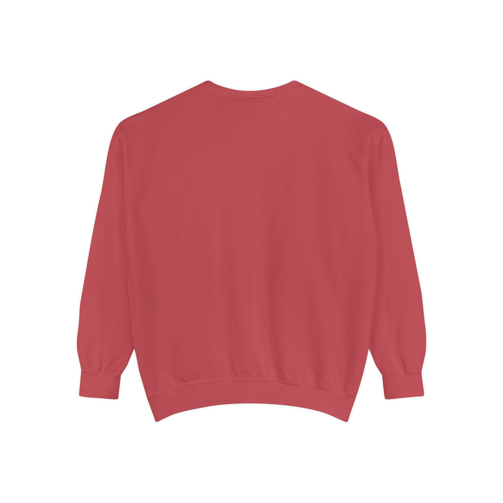 Dear Santa Define Nice Christmas Sweatshirt